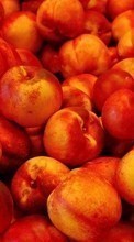 New mobile wallpapers - free download. Food,Fruits,Peaches picture and image for mobile phones.
