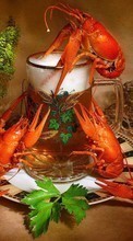 New mobile wallpapers - free download. Food, Drinks, Beer, Crayfish picture and image for mobile phones.