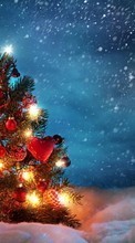 New mobile wallpapers - free download. Fir-trees, New Year, Holidays, Christmas, Xmas, Snow picture and image for mobile phones.