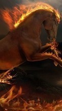 New mobile wallpapers - free download. Fantasy, Horses, Fire, Animals picture and image for mobile phones.