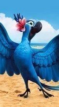 New mobile wallpapers - free download. Rio, Cartoon, Parrots, Birds picture and image for mobile phones.