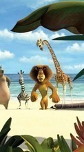 New mobile wallpapers - free download. Madagascar, Cartoon picture and image for mobile phones.