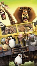New mobile wallpapers - free download. Madagascar, Cartoon picture and image for mobile phones.