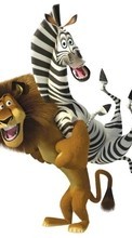 New mobile wallpapers - free download. Madagascar,Cartoon picture and image for mobile phones.