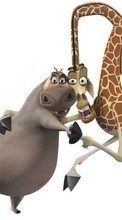 New mobile wallpapers - free download. Cartoon, Madagascar picture and image for mobile phones.