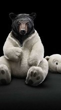 New mobile wallpapers - free download. Bears,Funny,Animals picture and image for mobile phones.