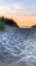 Sea, Landscape, Sand, Sunset