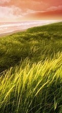 New mobile wallpapers - free download. Sea,Landscape,Grass picture and image for mobile phones.