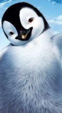 New mobile wallpapers - free download. Cartoon, Pinguins picture and image for mobile phones.