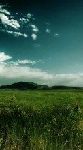 New mobile wallpapers - free download. Landscape, Grass, Sky picture and image for mobile phones.