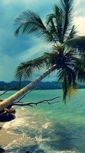 Clouds, Palms, Landscape, Beach for HTC Desire 700