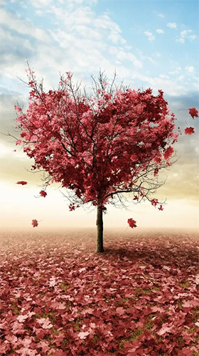 Download Autumn love free People livewallpaper for Android phone and tablet.