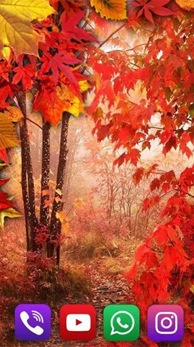 Download Autumn rain by SweetMood free Landscape livewallpaper for Android phone and tablet.