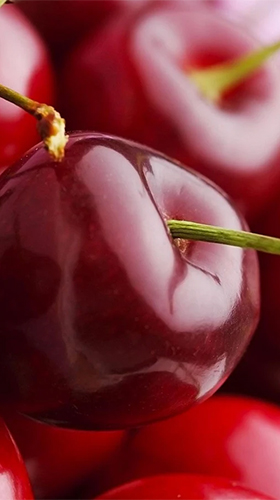 Download Cherry free Food livewallpaper for Android phone and tablet.