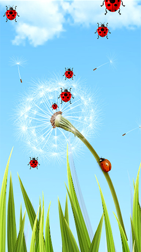 Download Dandelion by Latest Live Wallpapers free Plants livewallpaper for Android phone and tablet.