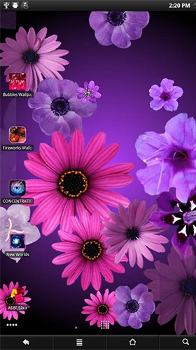 Download Flowers by PanSoft free Flowers livewallpaper for Android phone and tablet.