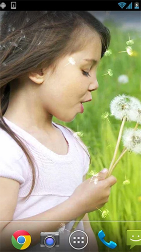 Download Girl and dandelion free People livewallpaper for Android phone and tablet.