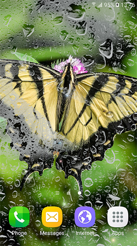 Download livewallpaper Macro butterflies for Android.