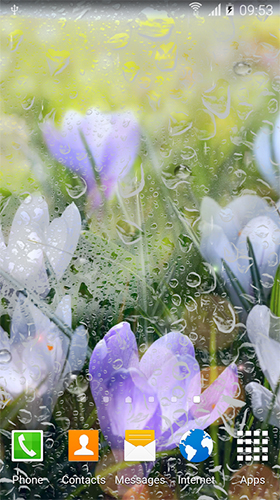 Download Rainy flowers free Flowers livewallpaper for Android phone and tablet.