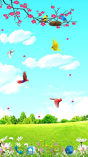 Download Sky birds free Landscape livewallpaper for Android phone and tablet.