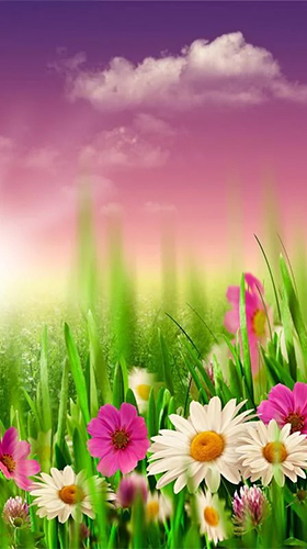 Download livewallpaper Spring by HQ Awesome Live Wallpaper for Android.