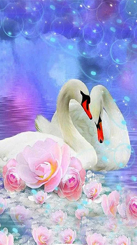 Download livewallpaper Swans by SweetMood for Android.