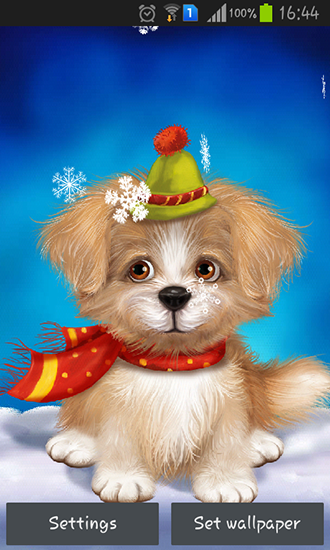 Download livewallpaper Cute puppy for Android.