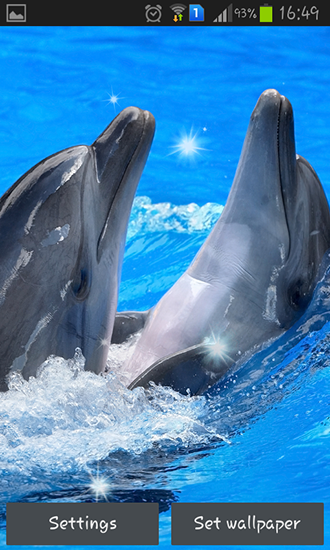 Download livewallpaper Dolphins for Android.