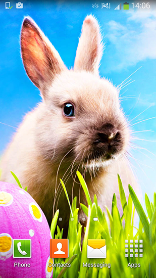 Download Easter free Animals livewallpaper for Android phone and tablet.