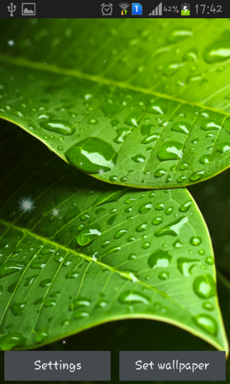 Download Green leaves free livewallpaper for Android 6.0 phone and tablet.