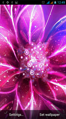 Neon flowers by Live Wallpapers Gallery apk - free download.