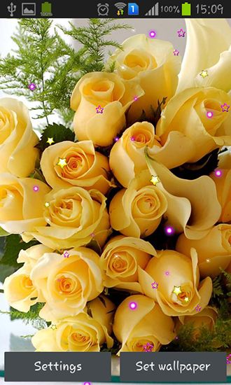 Download Roses and love free Interactive livewallpaper for Android phone and tablet.