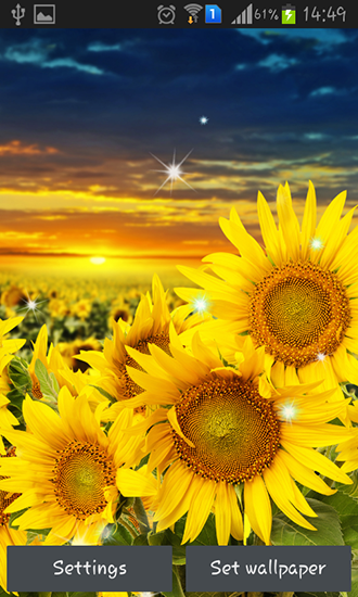 Download Sunflower by Creative factory wallpapers free livewallpaper for Android 5.0.1 phone and tablet.
