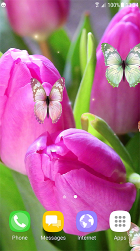 Tulips by Live Wallpapers 3D apk - free download.