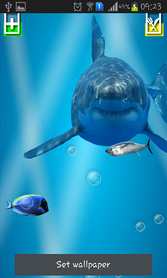 Angry shark: Cracked screen apk - free download.