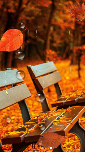 Screenshots of the live wallpaper Beautiful autumn for Android phone or tablet.
