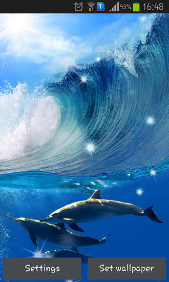 Dolphins apk - free download.