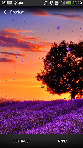 Screenshots of the live wallpaper Lavender for Android phone or tablet.
