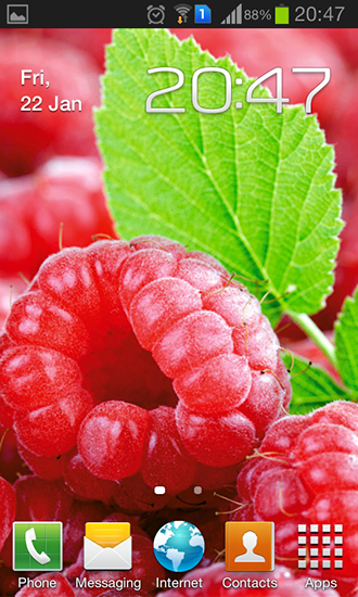 Raspberries apk - free download.