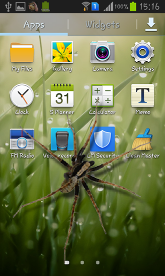Spider in phone apk - free download.