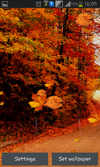 Screenshots of the live wallpaper Autumn rain for Android phone or tablet.