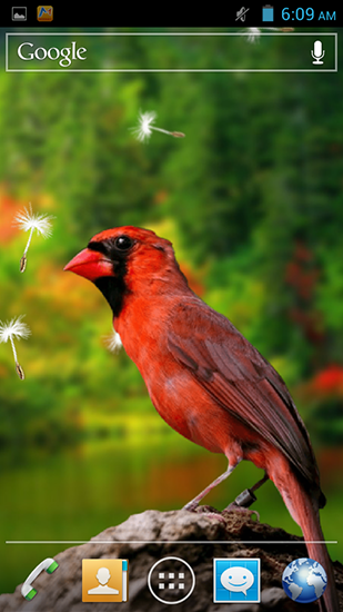 Screenshots of the live wallpaper Birds 3D for Android phone or tablet.