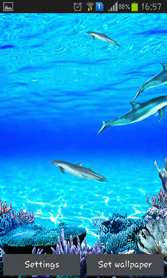 Screenshots of the live wallpaper Dolphins sounds for Android phone or tablet.