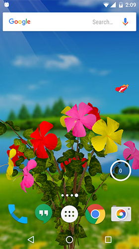 Full version of Android apk livewallpaper Hibiscus 3D for tablet and phone.
