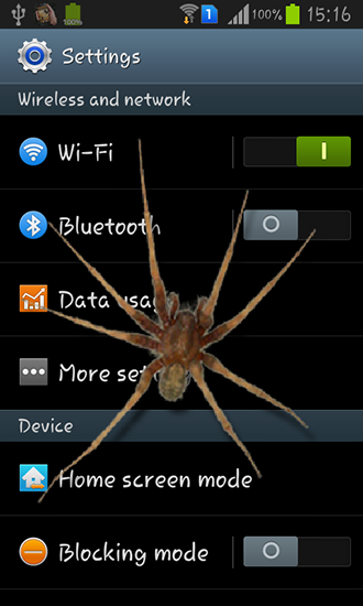 Screenshots of the live wallpaper Spider in phone for Android phone or tablet.