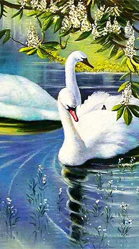 Full version of Android apk livewallpaper Swans by SweetMood for tablet and phone.