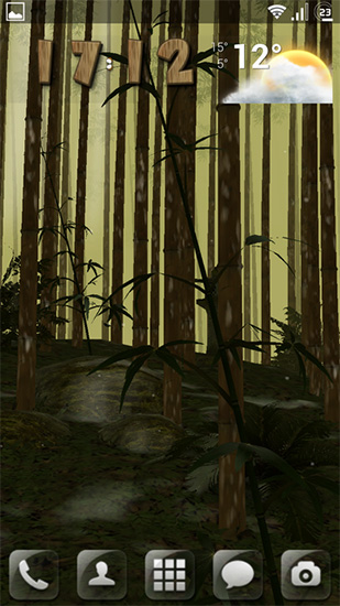 Full version of Android apk livewallpaper Bamboo grove 3D for tablet and phone.