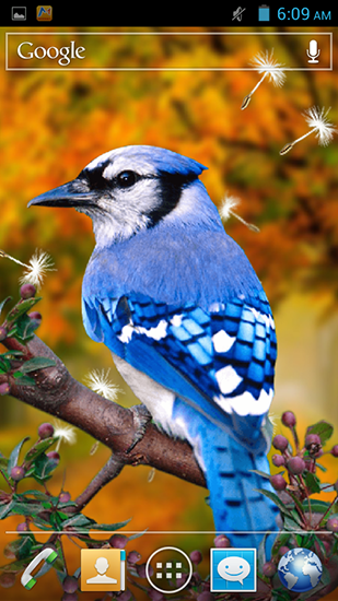 Full version of Android apk livewallpaper Birds 3D for tablet and phone.