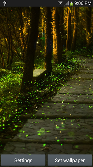 Full version of Android apk livewallpaper Fireflies by Top live wallpapers hq for tablet and phone.
