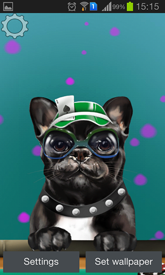 Full version of Android apk livewallpaper French bulldog for tablet and phone.